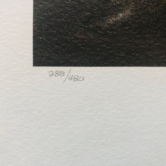 Nicole Le Royer Les Jours Sombres Signed Limited Edition Print –Rustic Farmhouse - Picture 4 of 6